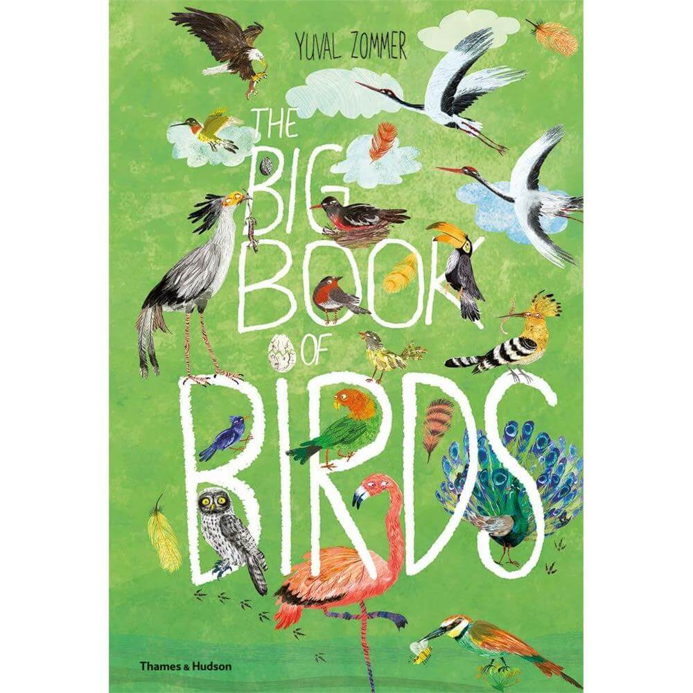 The Big Book of Birds By Yuval Zommer (Hardback)